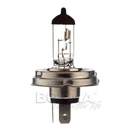 Bosma H4 12V 60/55W P45t