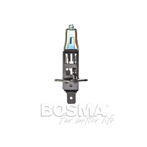 Bosma H1 24V 70W P14,5s